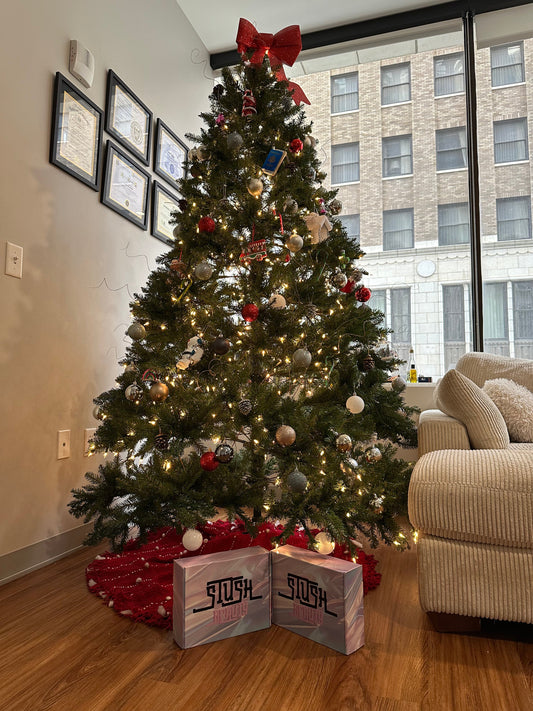 Niacinamide, Simplified: The Perfect Holiday Gift for Radiant, Resilient Skin