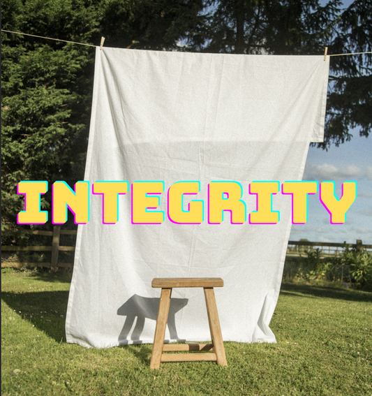 Integrity: You Either Got It Or You Don’t